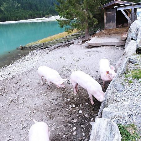 Apart Gerlossteinblick Aschau Im Zillertal Exterior photo